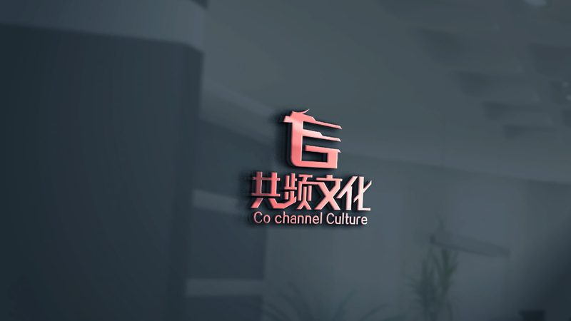 MG动画与Flash：差异解析与应用场景详解