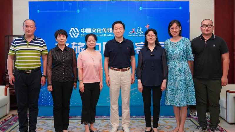VI设计素材分类解析：价格背后的秘密